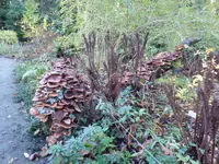 P1020026.webp