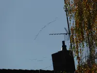 P1020030.webp