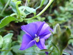 P1020036.JPG