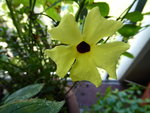 P1020037.JPG