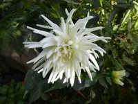 P1020050.webp
