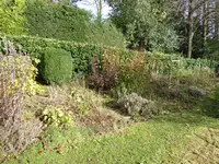 P1020056.webp