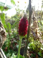 P1020060.webp