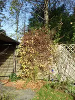 P1020070.webp