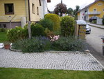 07_10_2020 (10).JPG