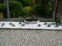 21_05_2020 (19).webp