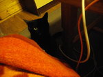IMGP0382.JPG