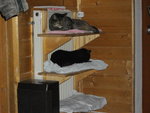 IMGP0383.JPG