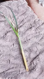 WhatsApp Image 2020-11-10 at 13.26.25.webp