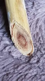 WhatsApp Image 2020-11-10 at 13.26.26.webp