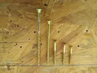 IMG_20201110_195909_9.webp IMG_20201110_195909_9.webp