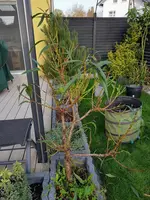 20201107_151515.webp