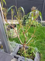 20201107_151534.webp