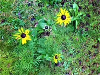 IMG_20201111_100908.jpg