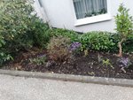 1-IMG_20201011_154832.jpg