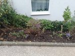 IMG_20201011_175718.jpg