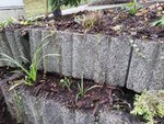IMG_20201112_105505.jpg