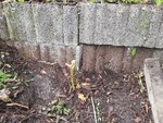 IMG_20201112_105513.jpg