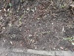 IMG_20201112_105517.jpg
