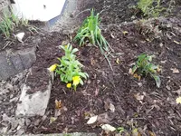 IMG_20201112_105628.jpg