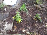 IMG_20201112_105628.jpg