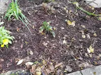 IMG_20201112_105632.jpg