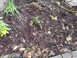 IMG_20201112_105632.jpg