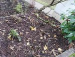 IMG_20201112_105635.jpg