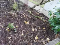 IMG_20201112_105635.jpg