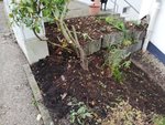 IMG_20201112_105652.jpg