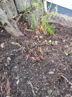 IMG_20201112_105702.jpg