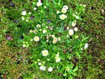 IMG_20201111_100915.jpg