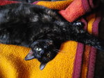 IMGP0430.JPG