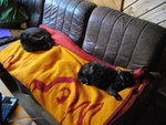 IMGP0426.JPG