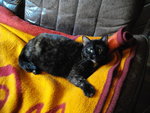 IMGP0427.JPG