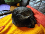 IMGP0428.JPG