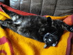 IMGP0429.JPG