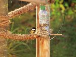 image014.jpg