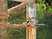 image015.webp