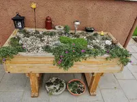 IMG_20201115_125301.webp
