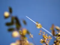 image008.webp