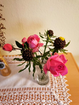 IMG_20201116_122736.png