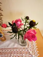 IMG_20201116_122736.webp