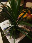 IMG_20201115_165859.jpg
