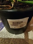 IMG_20201115_165908.jpg