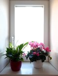 20201117_142421.jpg