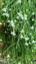 20201117_094018.webp