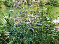 IMG_20201011_151807.jpg