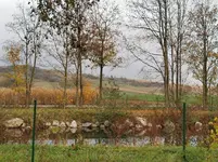 IMG_20201113_160032.webp