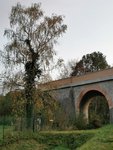IMG_20201113_160013.jpg
